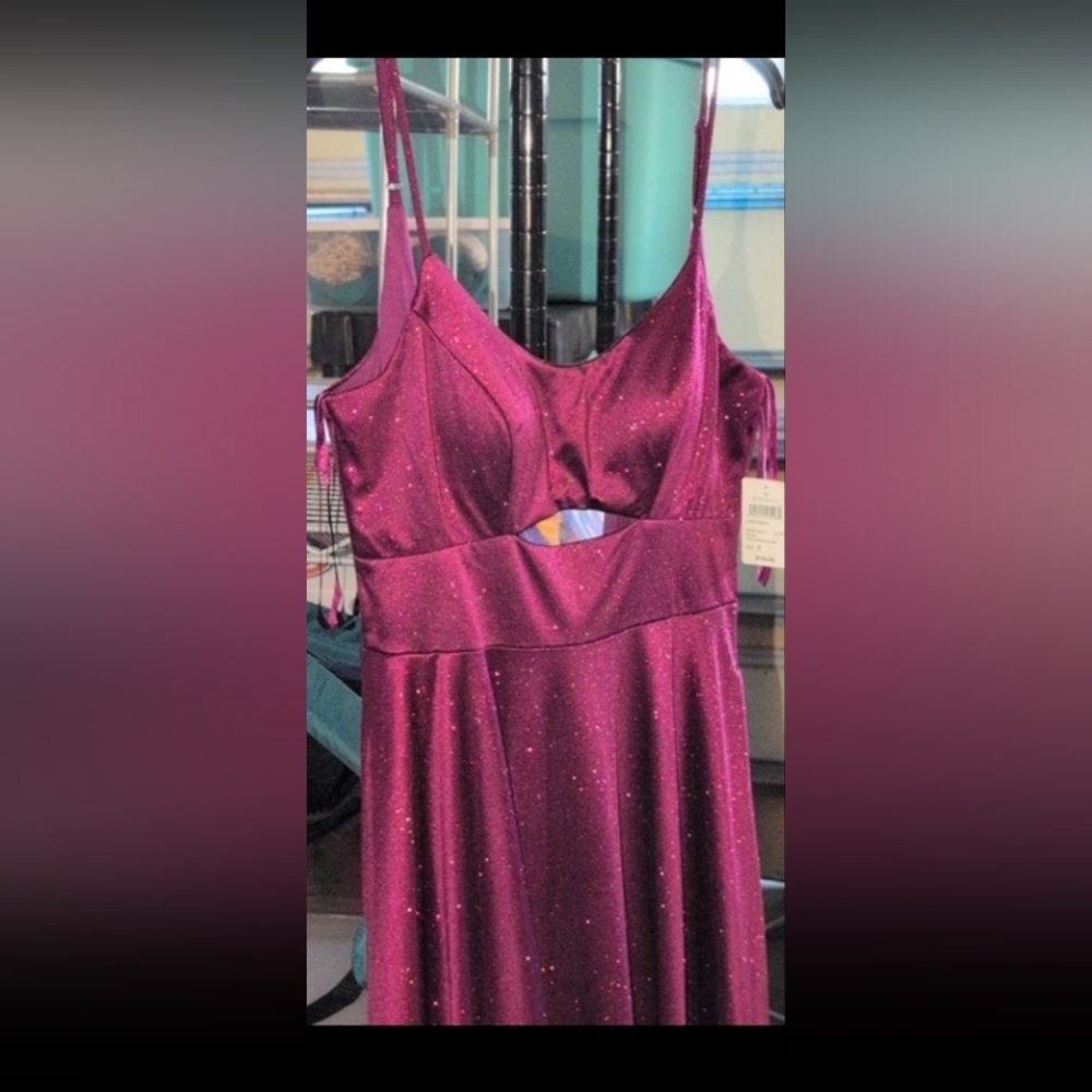 Windsor Amina Scoop Neck A-Line Glitter Formal Dress. Plum